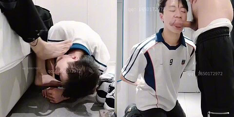Kawakami Hayabusa-Meet the dog m who likes to drink urine